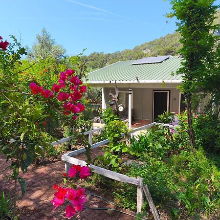 Gelidonia Fenerium Holiday Home Antalya Zewnętrze zdjęcie