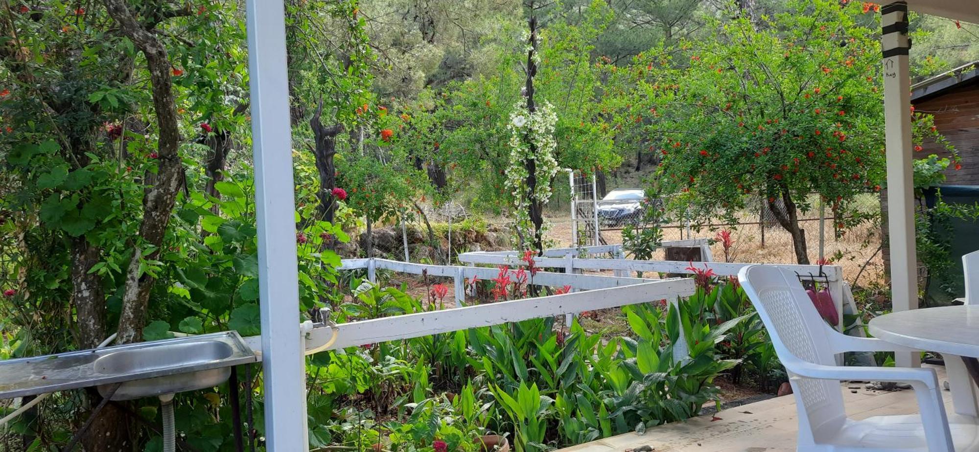 Gelidonia Fenerium Holiday Home Antalya Zewnętrze zdjęcie