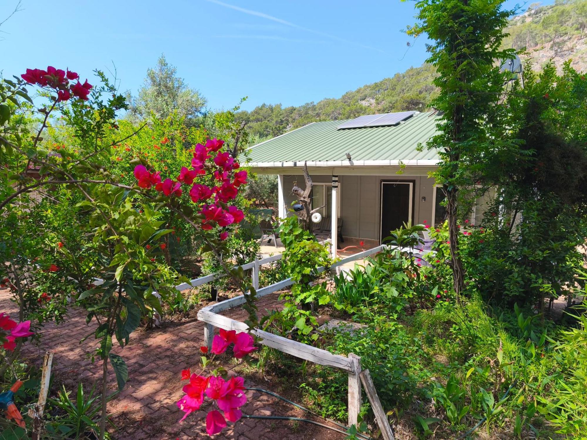 Gelidonia Fenerium Holiday Home Antalya Zewnętrze zdjęcie